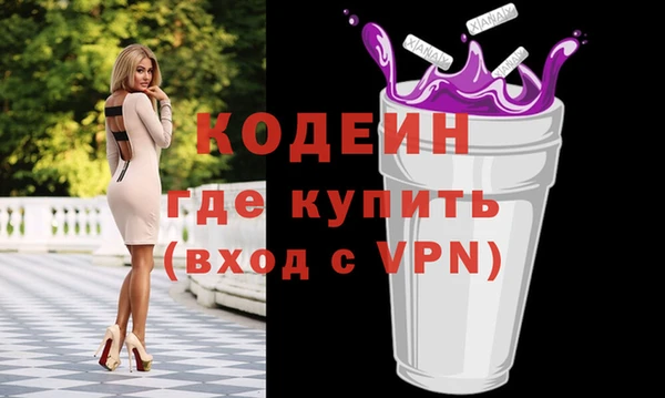 индика Арсеньев