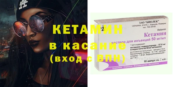 индика Арсеньев