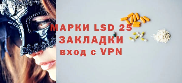 индика Арсеньев
