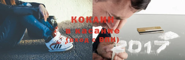 индика Арсеньев