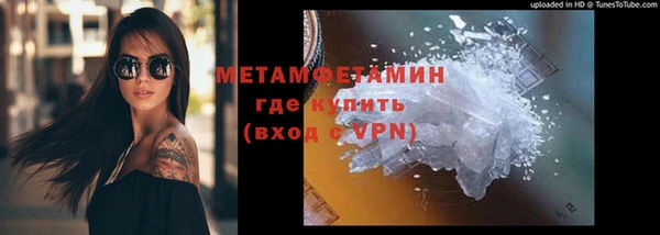 индика Арсеньев