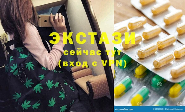 индика Арсеньев