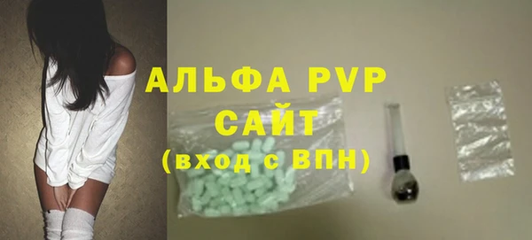 индика Арсеньев