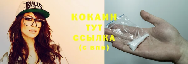 крисы Надым