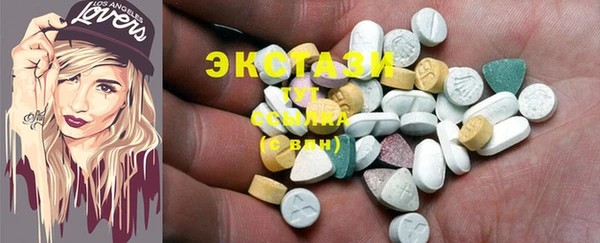 индика Арсеньев