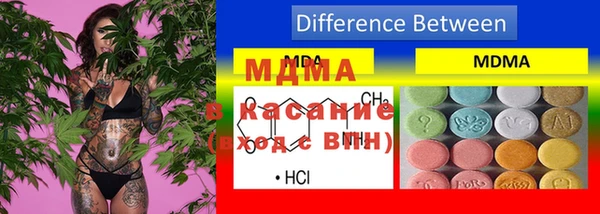 индика Арсеньев