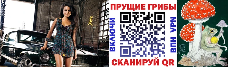 Псилоцибиновые грибы мицелий  что такое наркотик  Рыбное 